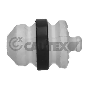 031515 CAUTEX