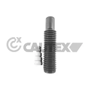 767547 CAUTEX