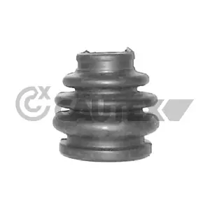 010720 CAUTEX