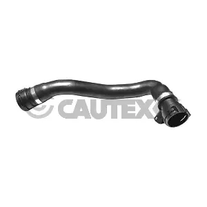 754336 CAUTEX
