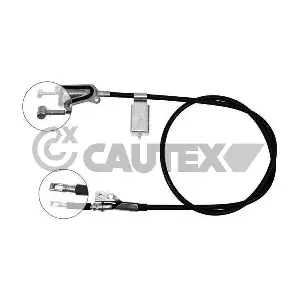069078 CAUTEX