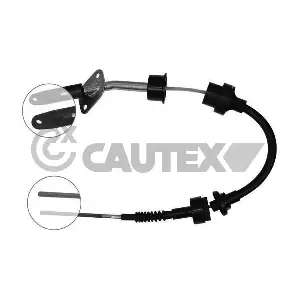 81121 CAUTEX
