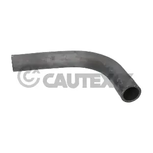 026422 CAUTEX