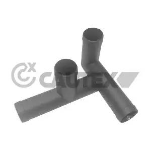 955146 CAUTEX