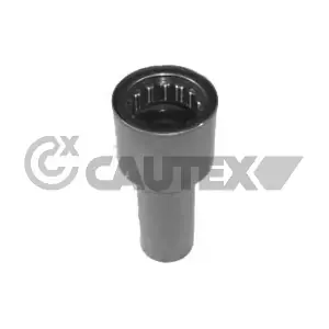 021361 CAUTEX