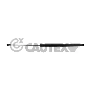 773097 CAUTEX