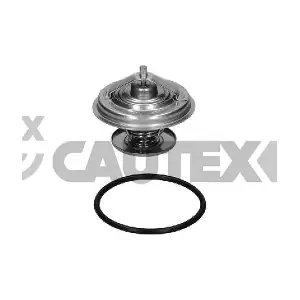 770211 CAUTEX