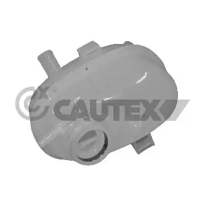 481062 CAUTEX