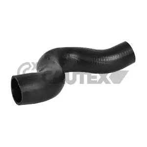 036787 CAUTEX