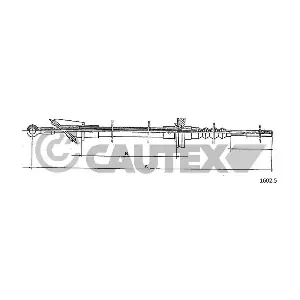 81043 CAUTEX