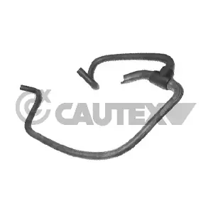 036466 CAUTEX