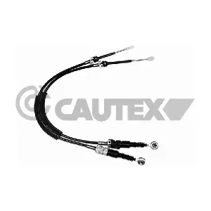 772639 CAUTEX