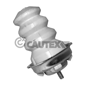 011253 CAUTEX