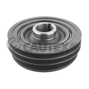 771087 CAUTEX