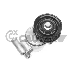 761388 CAUTEX