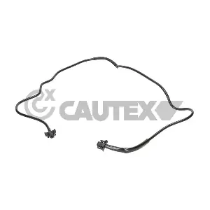 777618 CAUTEX
