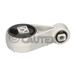 080224 CAUTEX