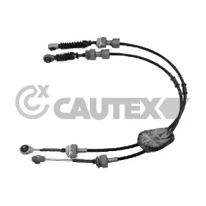 772591 CAUTEX