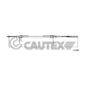 766061 CAUTEX