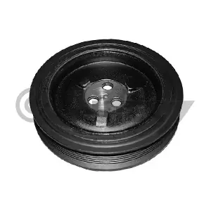 080976 CAUTEX