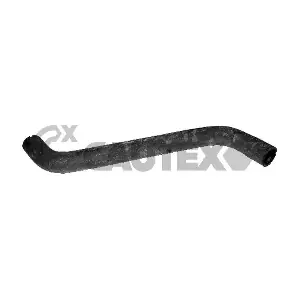036357 CAUTEX