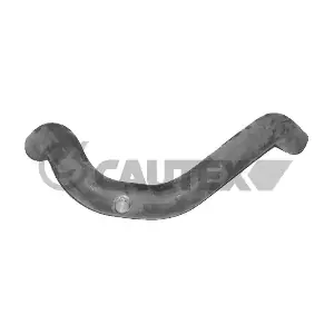 026536 CAUTEX