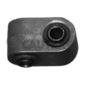 020245 CAUTEX
