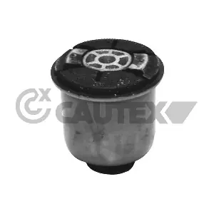 021284 CAUTEX