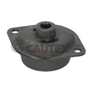 010871 CAUTEX