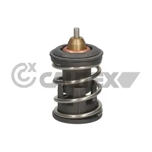 774572 CAUTEX
