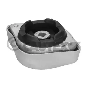460165 CAUTEX