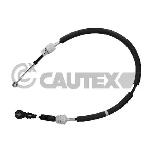 772603 CAUTEX