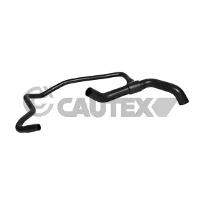 011338 CAUTEX
