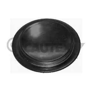 011065 CAUTEX