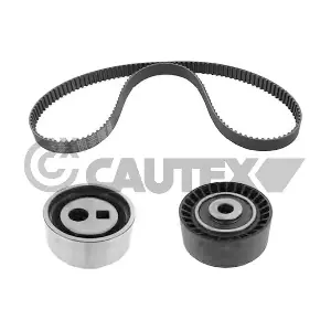 769718 CAUTEX