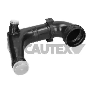 011408 CAUTEX