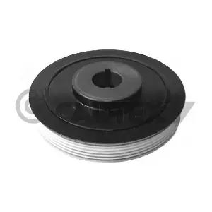 030957 CAUTEX