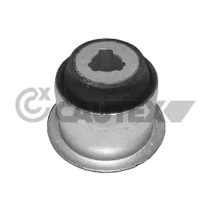 020895 CAUTEX