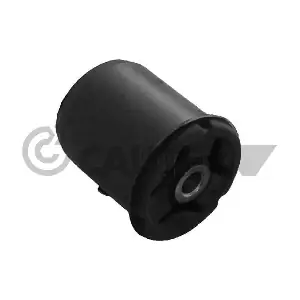 480130 CAUTEX