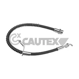 755779 CAUTEX