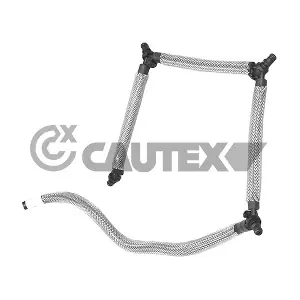 031707 CAUTEX