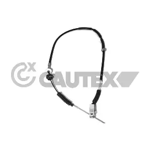 105976 CAUTEX