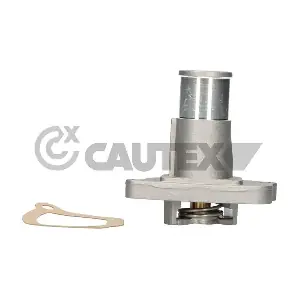 011073 CAUTEX