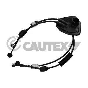 772640 CAUTEX