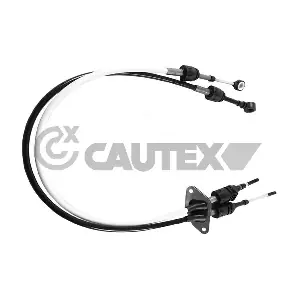 766213 CAUTEX
