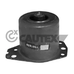 756098 CAUTEX