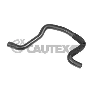 031331 CAUTEX