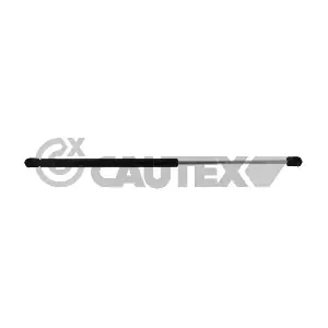 773105 CAUTEX