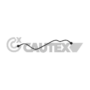 773529 CAUTEX