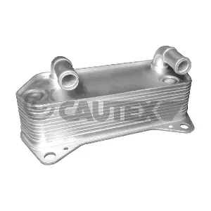462519 CAUTEX